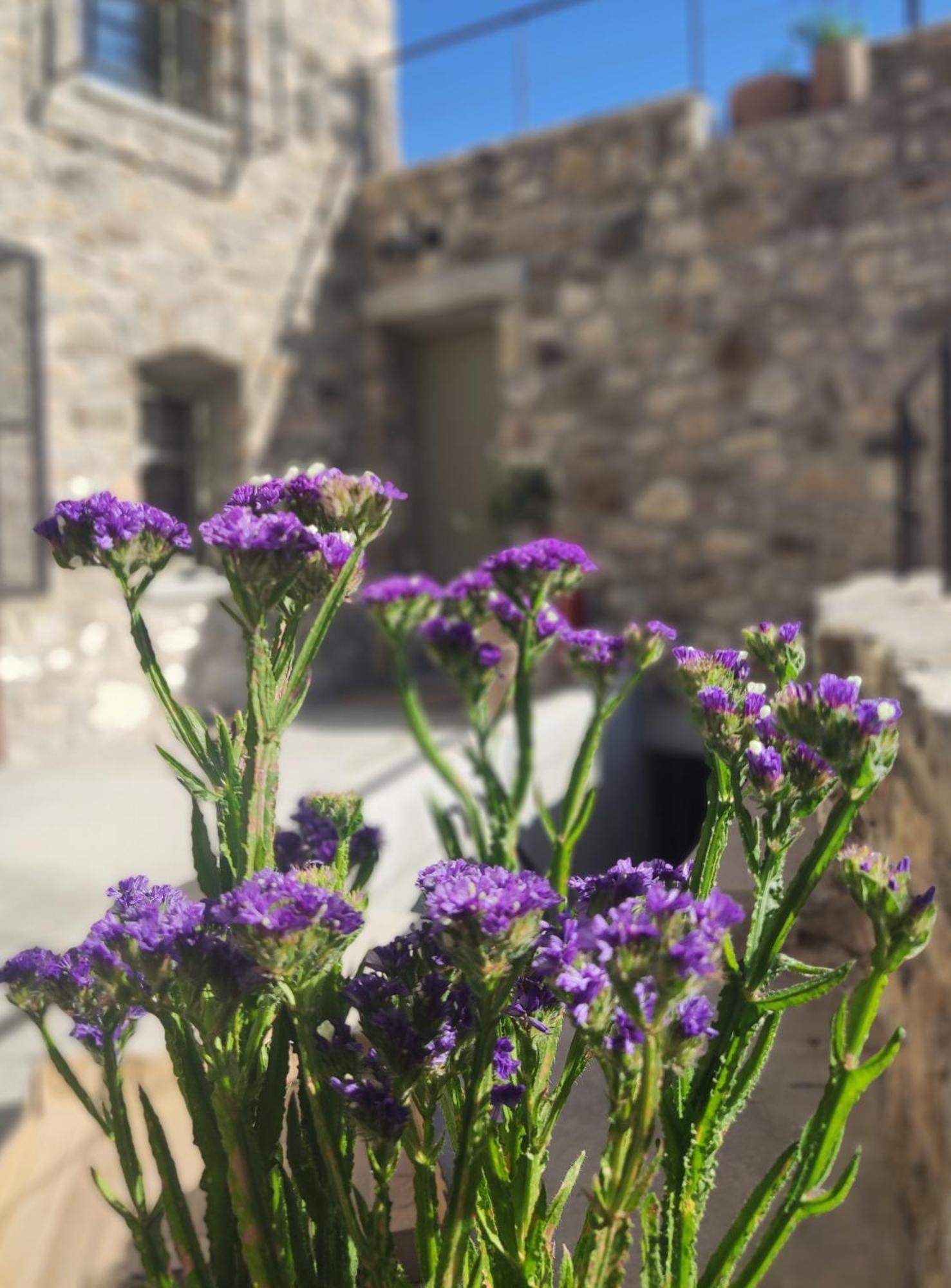 Pyrgi Cretan Living & Spa Pirgos  Exterior photo
